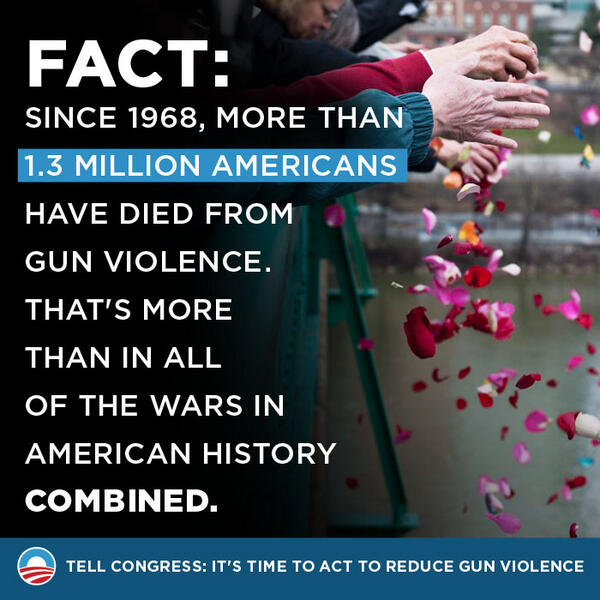 Fact-Check: More Deaths from Gun Violence than from War?